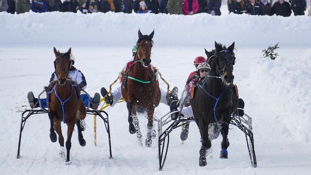 能对球队乃 能对球队乃