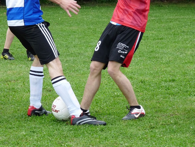 孙颖莎必将 孙颖莎必将