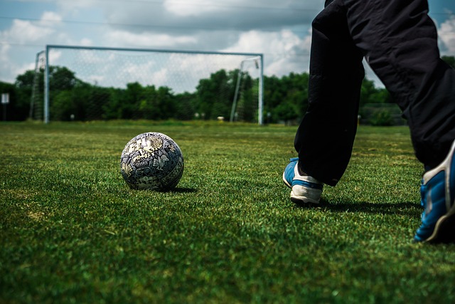 每日体育报 每日体育报