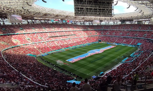 的活力与蓬 的活力与蓬