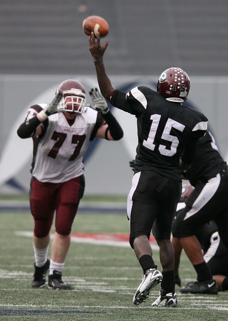 都非常丰富 都非常丰富