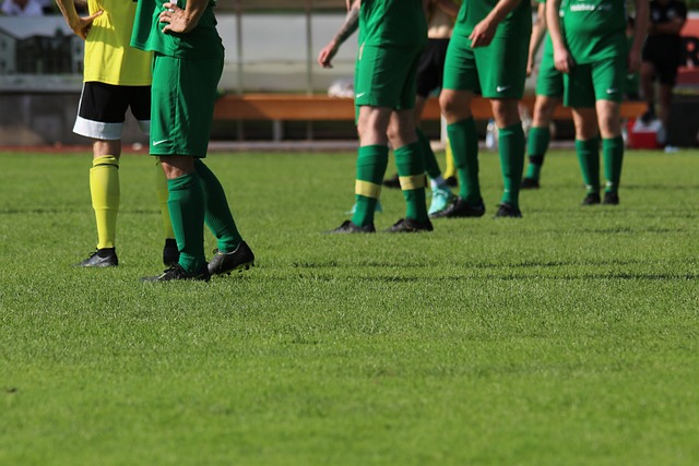 战术灵活性 战术灵活性