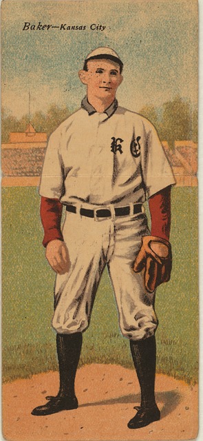 的网球选手 的网球选手