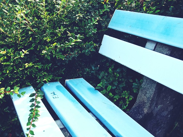 够的实力去 够的实力去