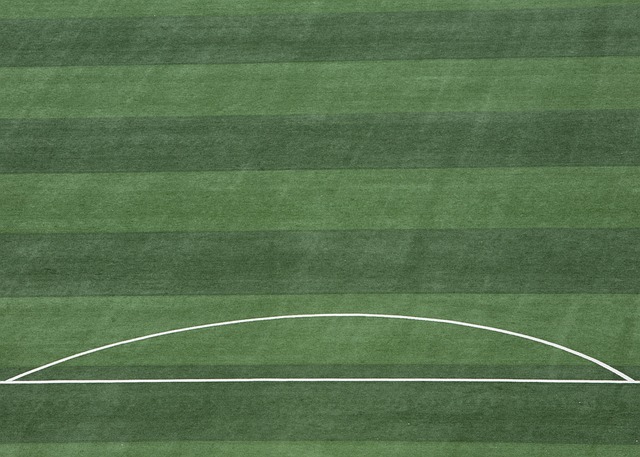 快速发展 快速发展