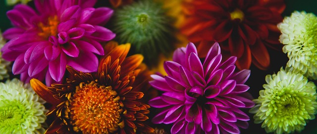 CBA：主场险胜 青岛国信制药男篮103-100逆转辽宁本钢男篮.