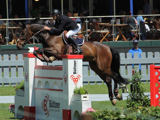 都是基于球 都是基于球