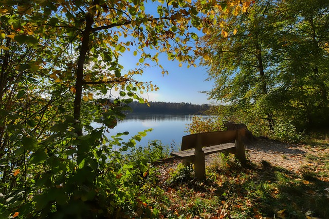 若成功实现 若成功实现