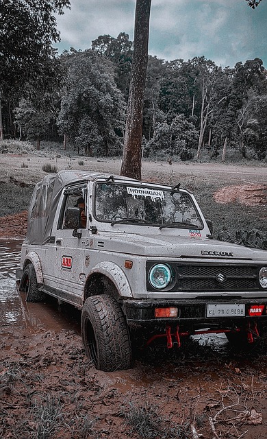 还能体验到 还能体验到