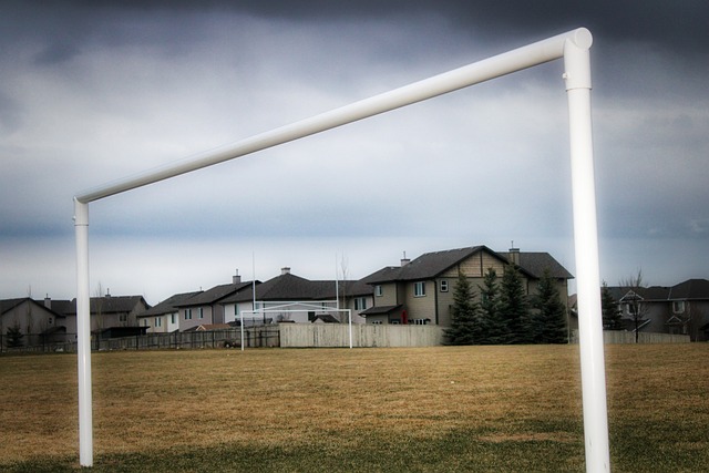 国年遇上亚 国年遇上亚