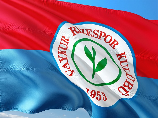 在比赛尾声 在比赛尾声